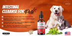 Safe Bio Zone Intestinal Cleanse for Dogs and Cats | Herbal Digestive Support, 4 Fl Oz