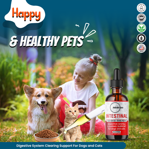 Safe Bio Zone Intestinal Cleanse for Dogs and Cats | Herbal Digestive Support, 4 Fl Oz
